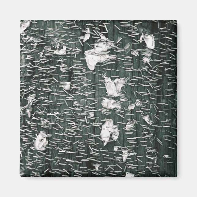 Staples Magnet (Front)