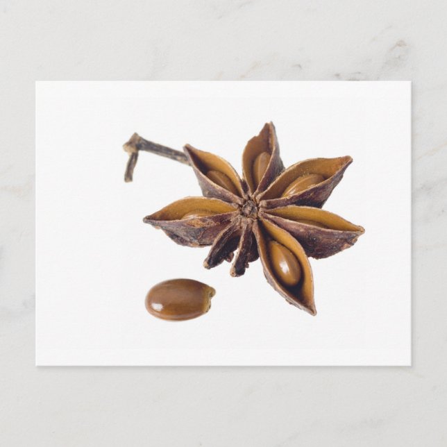 Star anise postcard (Front)