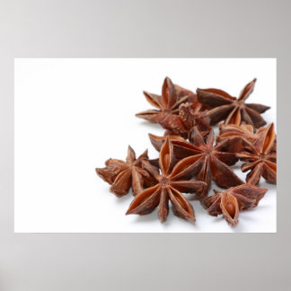 Star anise poster
