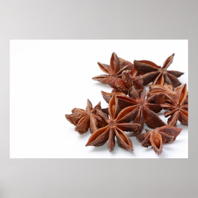 Star anise poster (Front)