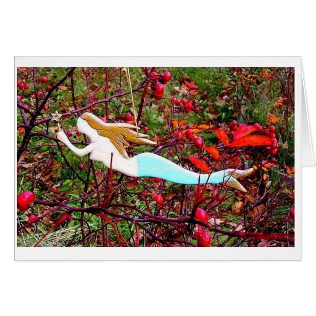 star carrying mermaid (Front Horizontal)