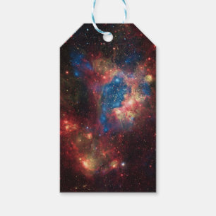 Star Cluster NGC 1929 Gift Tags