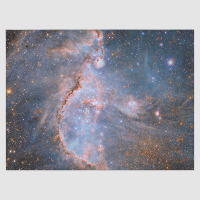 Star Cluster NGC 346 Tissue Paper (Front)