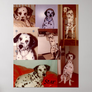 Star - Collage Poster
