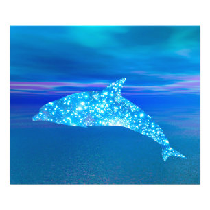 Star Dolphin Photo Print