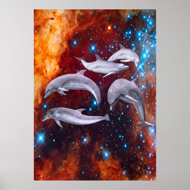 Star Dolphins Poster (Front)