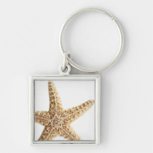 Star fish key ring