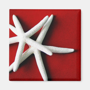 Star fish Magnet