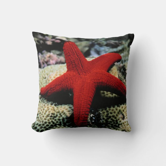 Star Fish | Red Sea Cushion (Front)