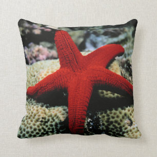 Star Fish   Red Sea Cushion