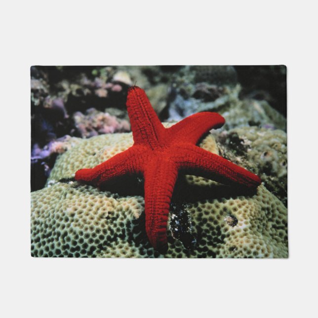 Star Fish | Red Sea Doormat (Front)