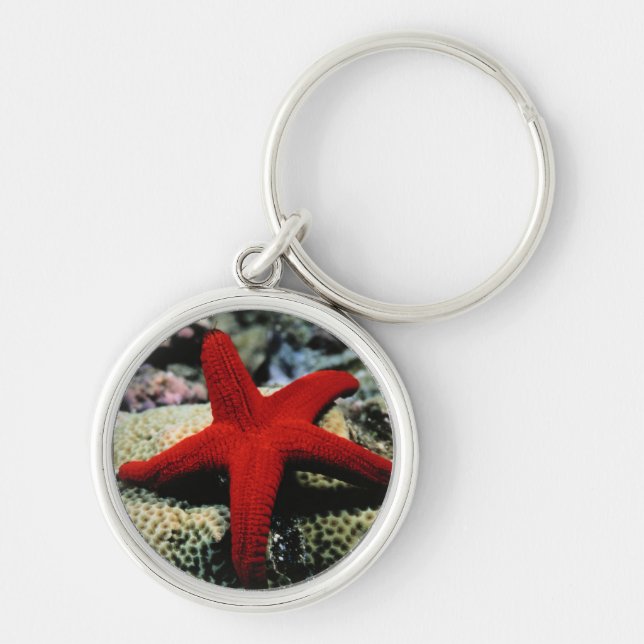 Star Fish | Red Sea Key Ring (Front)