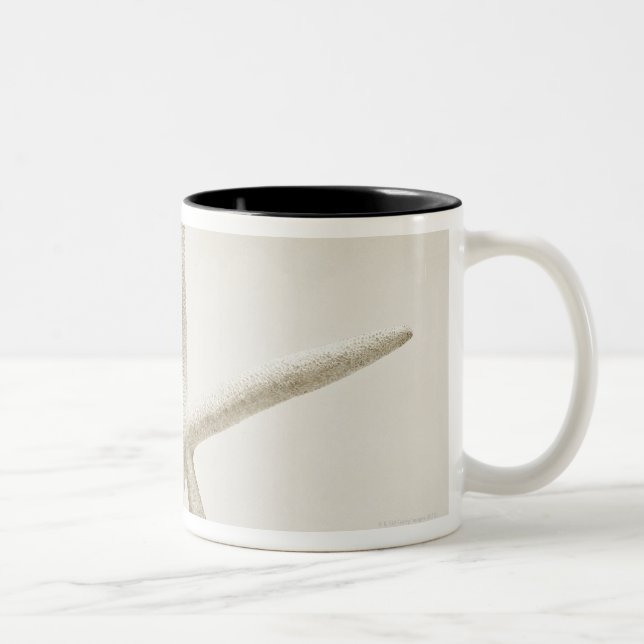 Star fish shell Two-Tone coffee mug (Right)