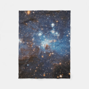 Star-Forming Region LH 95 in the Large Magellanic Fleece Blanket