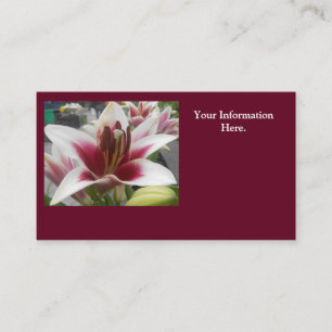 Star Gazer Business Card