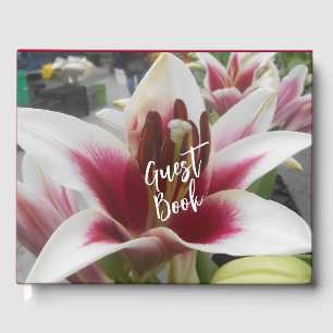 Star Gazer Guest Book