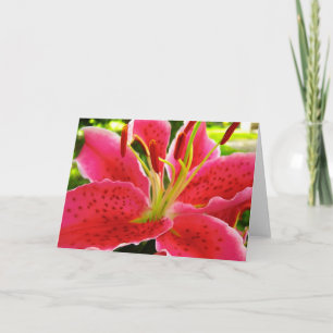 Star Gazer Lily Card