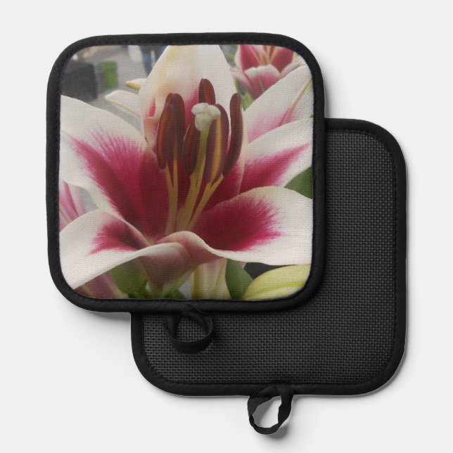 Star Gazer Pot Holder (Front/Back)