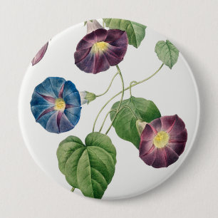 Star-glory Morning–glory, Pierre-Joseph Redouté 10 Cm Round Badge