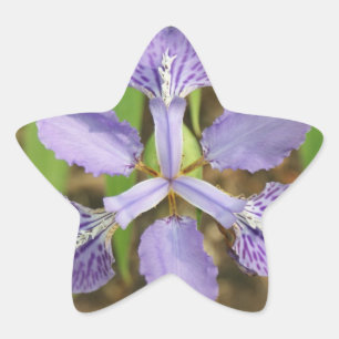 Star Iris Stickers