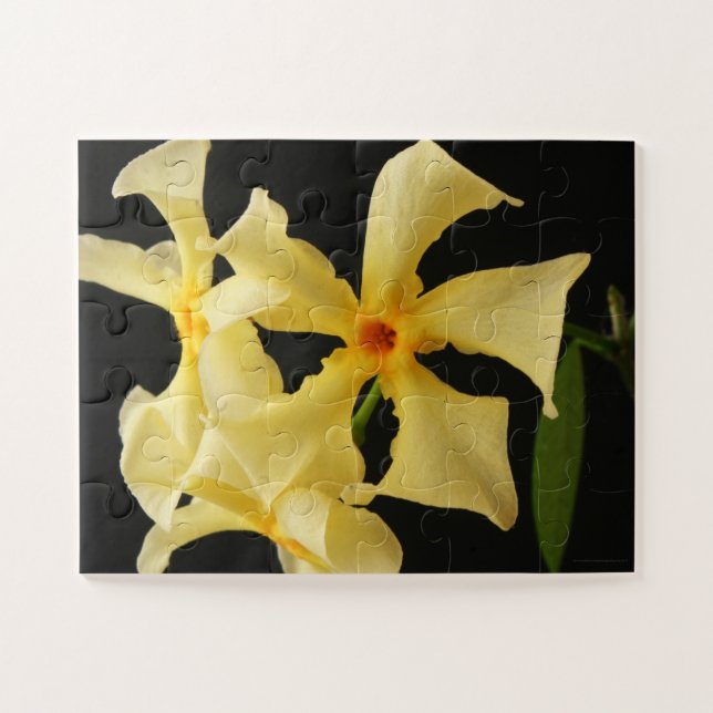 Star Jasmine Flower 11x14 30pc jpcnm Jigsaw Puzzle (Horizontal)