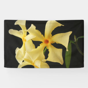 Star Jasmine Flower bnrcnm Banner
