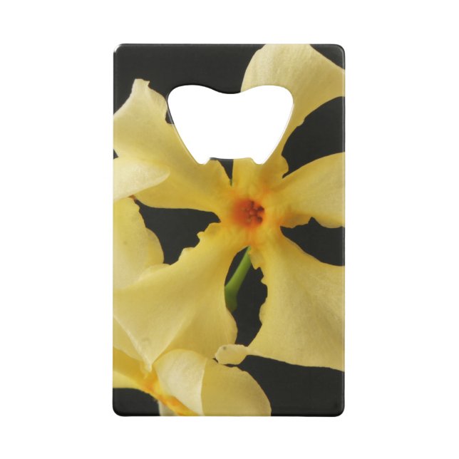 Star Jasmine Flower bocna (Front)
