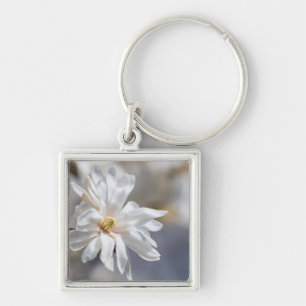 Star Magnolia Bloom Key Ring