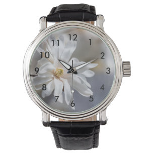 Star Magnolia Bloom Watch