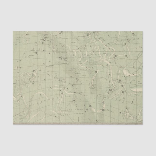 Star map 2 tissue paper (Front)