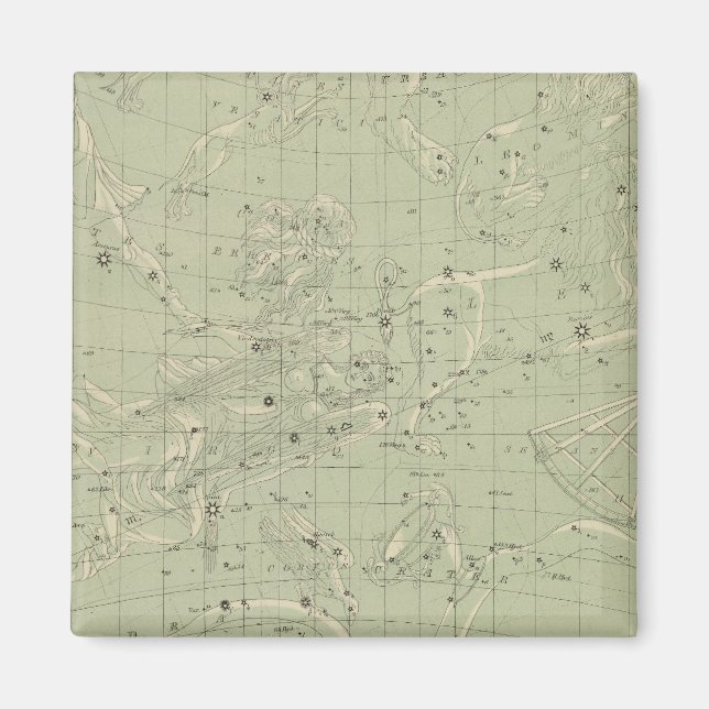 Star map magnet (Front)