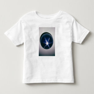 Star of Asia Toddler T-Shirt