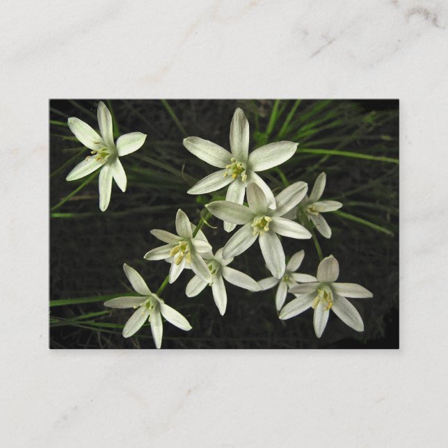 Star of Bethlehem ATC Business Card (Front)