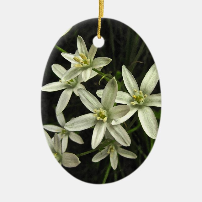 Star of Bethlehem Ceramic Ornament (Front)
