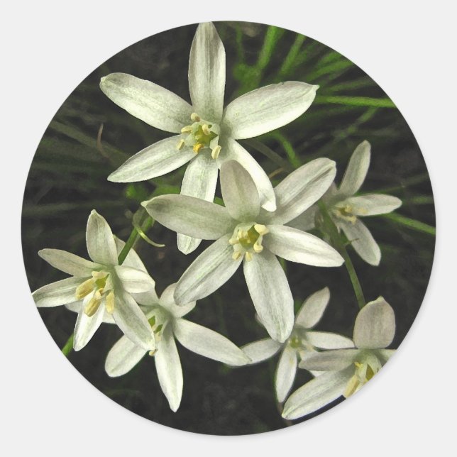 Star of Bethlehem Classic Round Sticker (Front)
