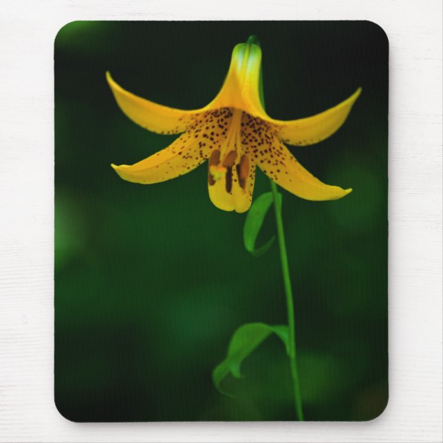 Star Pose Mousepad (Front)