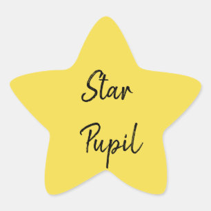 Star Pupil Star Sticker