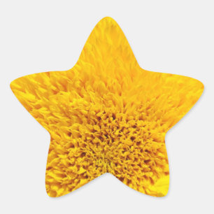 Star Shape stickers Yellow Sunflower Add Your Text