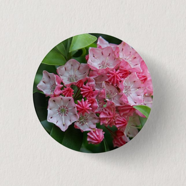 Star Shaped Kalmias 3 Cm Round Badge (Front)