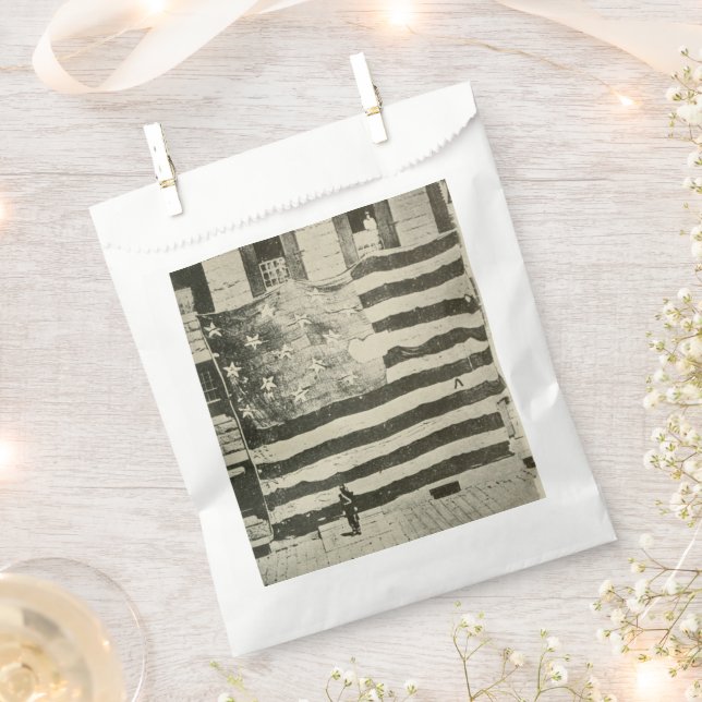 Star Spangled Banner: American Flag on Display Favour Bag (Clipped)