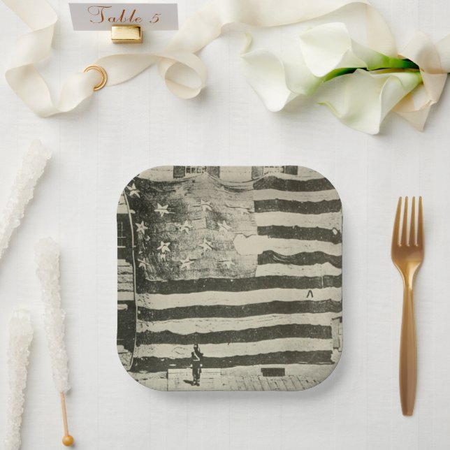 Star Spangled Banner: American Flag on Display Paper Plate (Wedding)