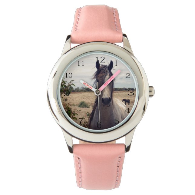 Star The Arab Horse, Watch (Front)