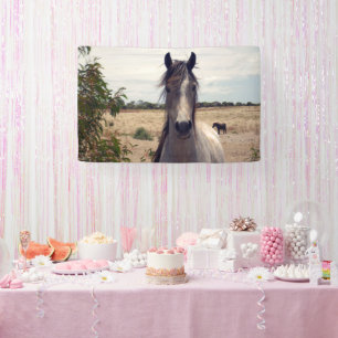Star The Arab Pony, Birthday Banner