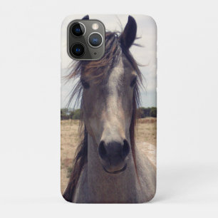 Star The Arab Pony, iPhone 11 Pro Case