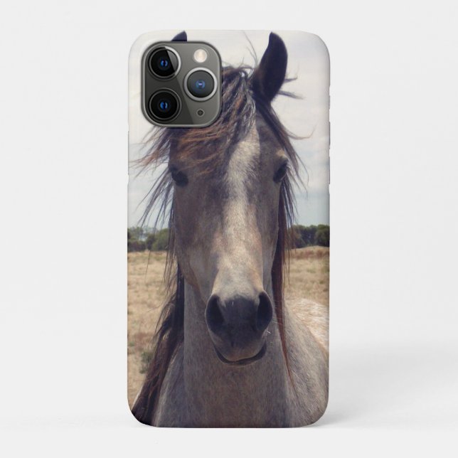 Star The Arab Pony,  Case-Mate iPhone Case (Back)