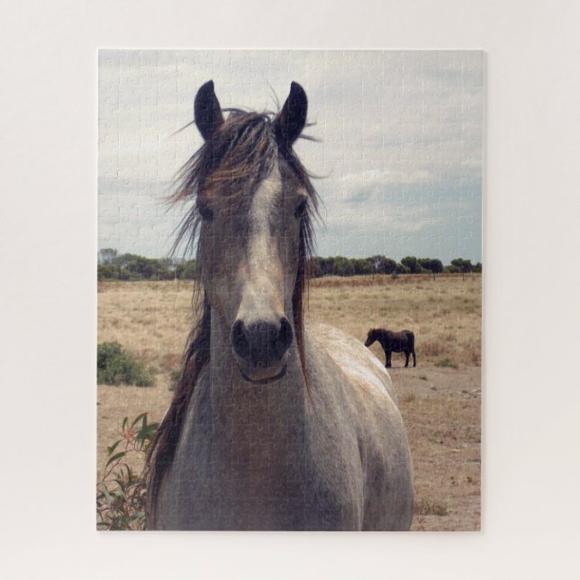 Star The Arab Pony, Jigsaw Puzzle (Vertical)