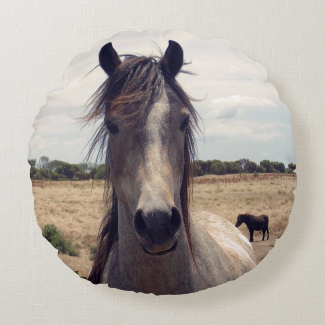 Star The Arab Pony,  Round Cushion (Front)