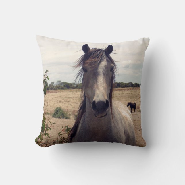 Star_The_Horse,_ Cushion (Front)