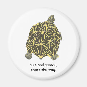 Star tortoise, affirmation, Sure & Steady magnets