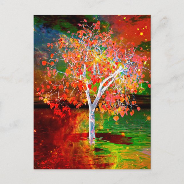 Star Tree Postcard (Front)